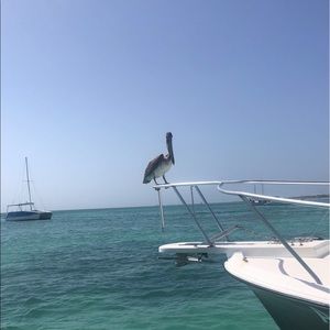 Meet your Posher, Savannah